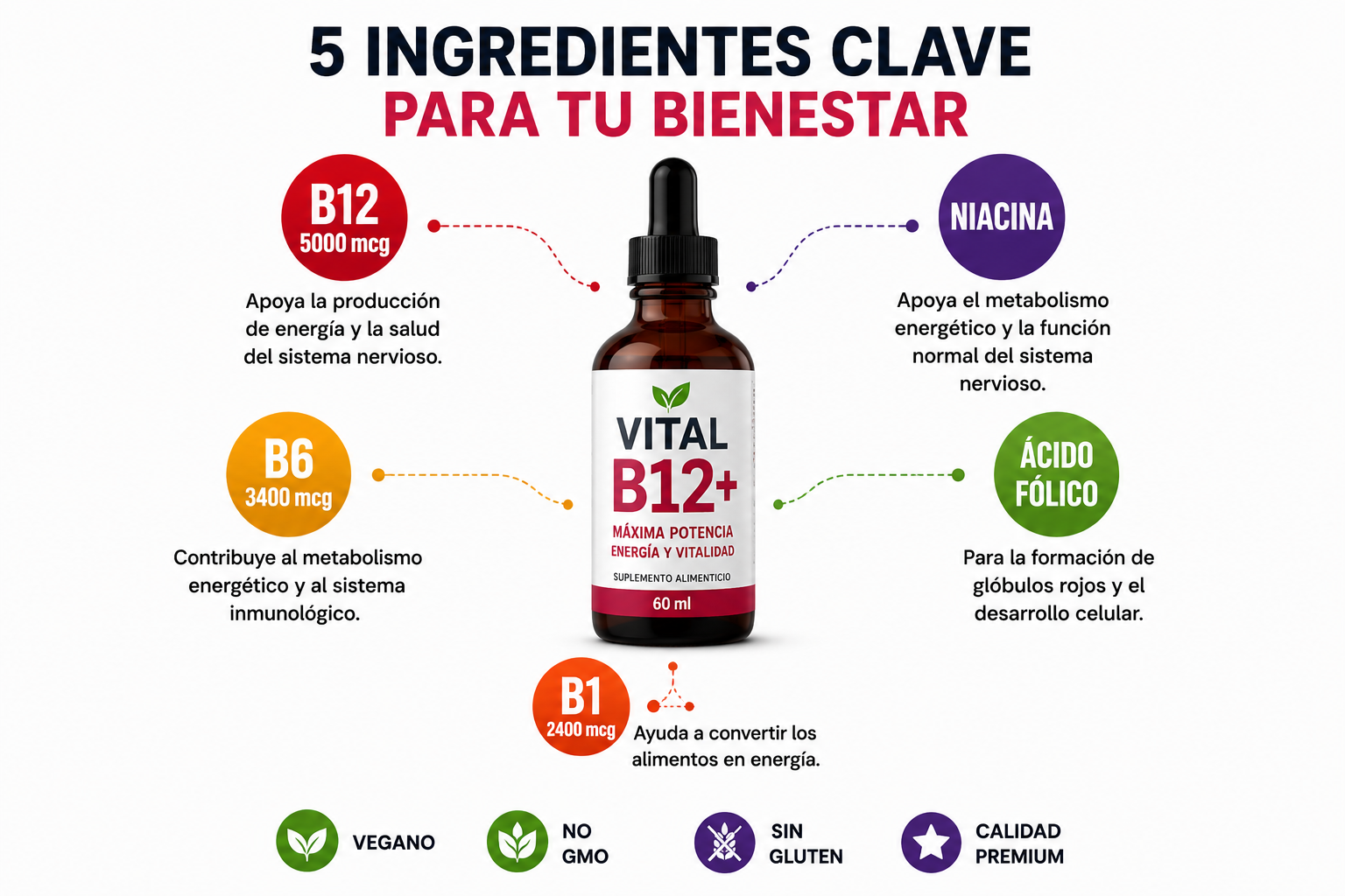 VITAL B12+ Fórmula de Máxima Potencia Vitamina B12 • B6 • B1 • Niacina • Ácido Fólico